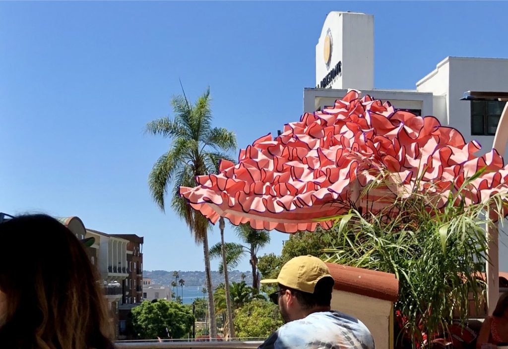 A view of the Pacific Ocean from the balcony of “Morning Glory” where we stopped for lunch in downtown San Diego after class.