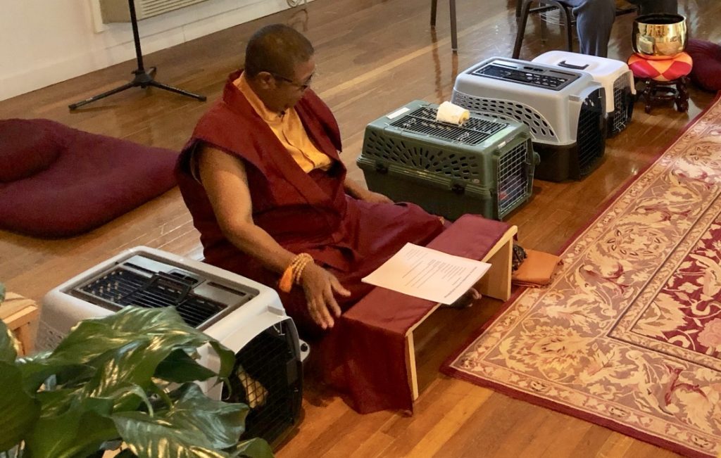 Ven. Pannavati at Blessing of the Animals ceremony at the Heartwood Refuge and Retreat Center, May 2019.