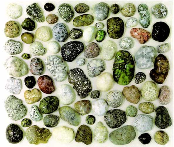 "Carved Stones" by Dr. Yuhua Shouzhi Wang.