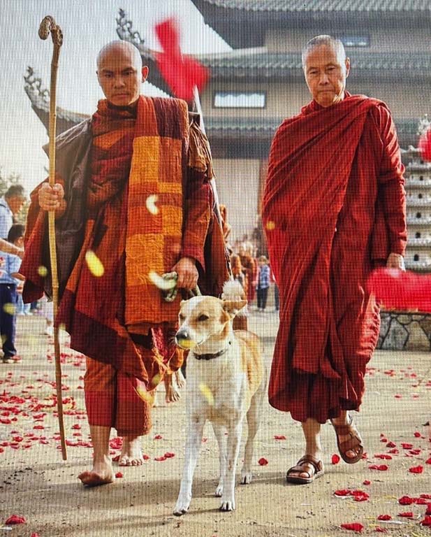 Photo of Peace Dog Aloka with lead monk Ven. Bhikkhu Pannakara and his teacher Ven. Ratanaguna, the abbot of Huong Dao Vipassana Bhavana Center, Fort Worth, TX, starting their 2,300 mile Walk for Peace on October 26, 2025.