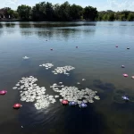 Photo of Holy Heavenly Lake at Buddhist Town, Hesperia, California.