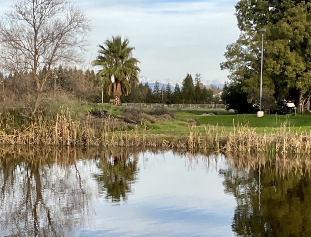 Photo of temple view looking East at the snow-capped Sierra Mountains.