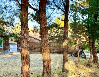 Photo of View from the lake of the frontage road and the temporary home of the Holy Heavenly Lake Xuanfa Dharma Center, Hesperia, California.