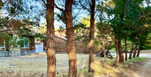 Photo of View from the lake of the frontage road and the temporary home of the Holy Heavenly Lake Xuanfa Dharma Center, Hesperia, California.