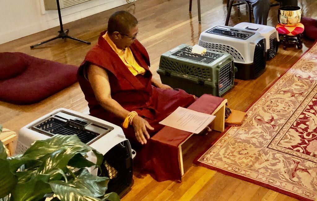 Photo of Ven. Pannavati at Blessing of the Animals Ceremony, Heartwood, Hendersonville, NC.