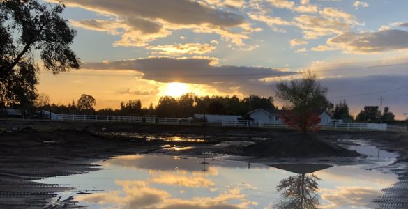 Sunset on the reclaimed pond after the big rain.