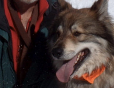 The photo below shows Chaco and me in the Sangre de Christo Mountains outside of Taos, NM.