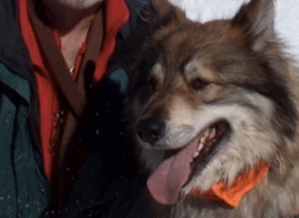 The photo below shows Chaco and Mike in the Sangre de Christo Mountains outside of Taos, NM.