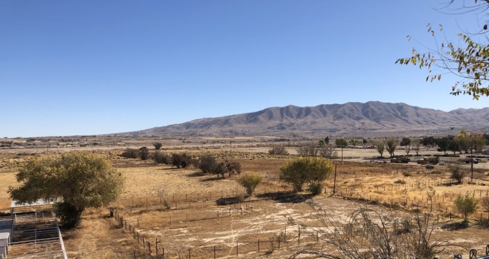 View south over Buddhist Town at Heavenly Lake site.